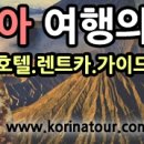 코리나여행사 이미지