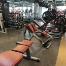 하운드짐 이미지