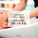 하루헤드스파 이미지