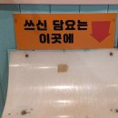 무릎 위의 고양이 무냥 | 홍대 고양이카페 _ 청춘고양이카페 무릎냥이 후기 (Feat. 찾아가는길)