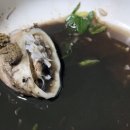 미키마차