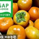 Re: GAP/저탄소 인증 진영단감 50% 맛보기 이벤트 당첨자 발표 이미지