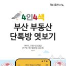 동동책+방 | 동동책 방