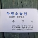 하방소농원 | 홍천여행/ '하방소농원' 맑은 계곡 옆에서 당일치기 캠크닉이 가능한 곳(카라반도 있어요!)