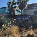 제주스타공인중개사사무소 이미지