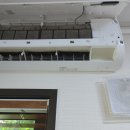 녹차분재로 이미지