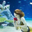 아쿠아빌딩 이미지