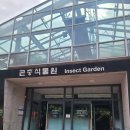 가족이 함께 떠나는 숲체험 & 놀이 - 애벌레 숲 놀이터 | 서울숲 곤충식물원, 나비정원 방문기! 아이와 함께 즐기는 서울 곤충체험 명소