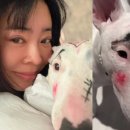 이혜영