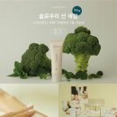 슬로우리