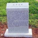 카페조기나루 - 안산시 상록구 | 카페조기나루