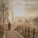 서울특별시립 남부노인전문요양원 네이버블로그