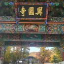 지축동 흥국사길 이미지