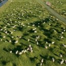 고비 태양광발전소 이미지