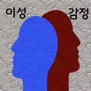 아들러부모교육연구소 이미지