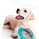 대성사료 이미지