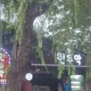 애룡원두막 이미지