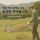 119 | 산소벌초 꼼꼼해서 만족했던 영천벌초대행 청년벌초119 후기
