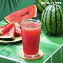 이디야 앞 이미지