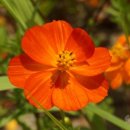 강변특장 이미지