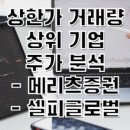 (주)셀피글로벌 이미지