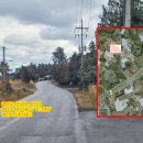 한마음초등로 이미지