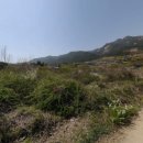 곡성-136 이미지