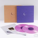 눈썹달