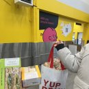 2월의 아이슬란드 신혼여행 기록 ep.2 _ 로투스 렌터카, 골든서클(싱벨리어 국립공원, 게이시르, 굴포스...