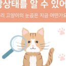 동물병원도담도담 이미지