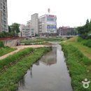 굴포천 Daum카페