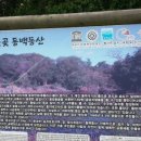 동산초등길 이미지