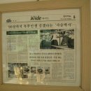 명천사슴농장 이미지