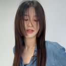 슬릭(sleek) 이미지