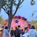 부안도깨비(13회차) | [전북/부안] 2026 부안 마실축제 다녀온 후기!