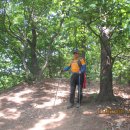 매산목장 이미지