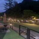 메리도그하우스 이미지