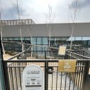 펫라운지 애견유치원 애견호텔 애견미용 이미지