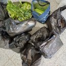 풍성한농장 이미지