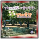 한신목장 | 인천 아이랑 가볼만한곳 논현동 양떼목장 후기