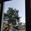 크린페밀리 이미지