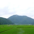 오토산 Daum카페