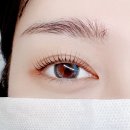 화곡역 속눈썹 연장 추천 강서구 최대 규모 라디다 뷰티 속눈썹펌 후기