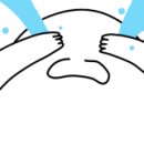 CT휘트니스 이미지