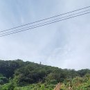 경희네민박 이미지