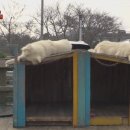 금순이농장 이미지