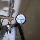 삼일원앙A 이미지