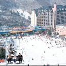 양지게이트볼장 이미지