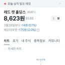 심약한 개미