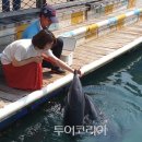 힐링한스푼